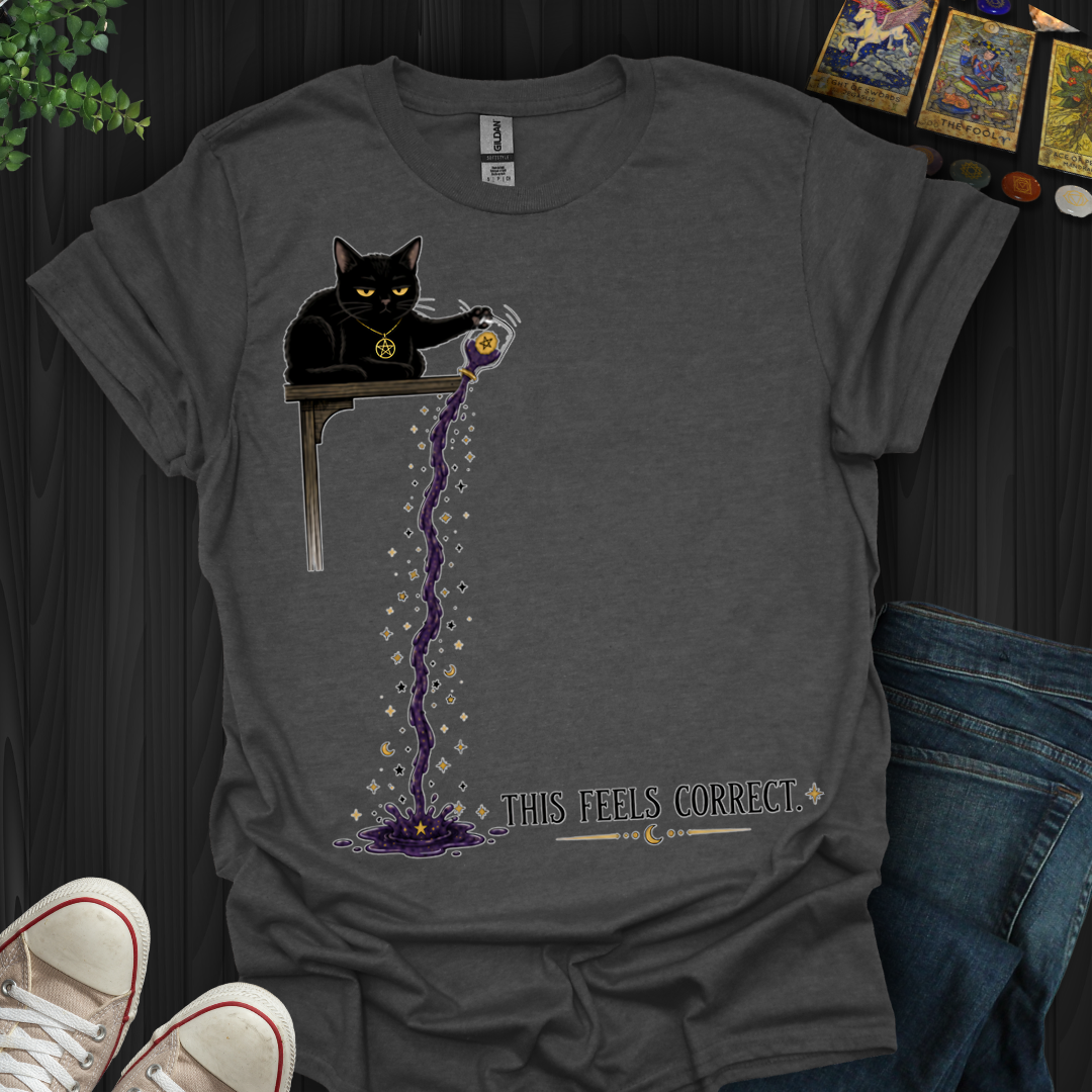 This Feels Correct- T-Shirt
