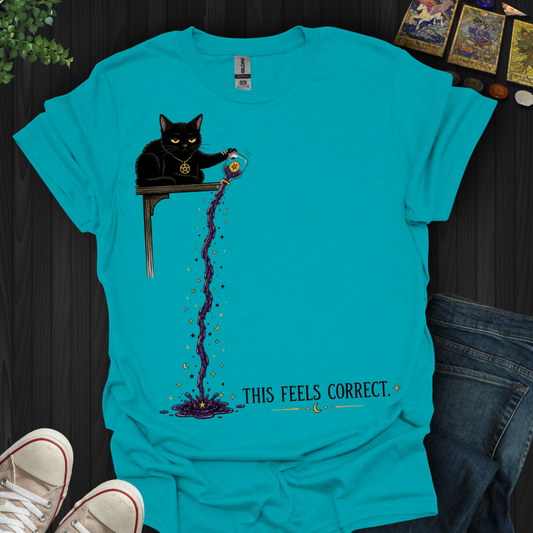 This Feels Correct- T-Shirt