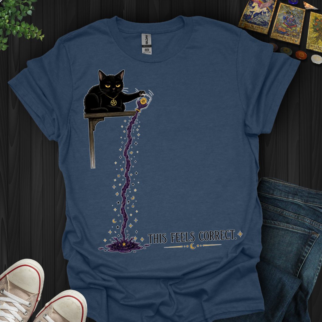 This Feels Correct- T-Shirt