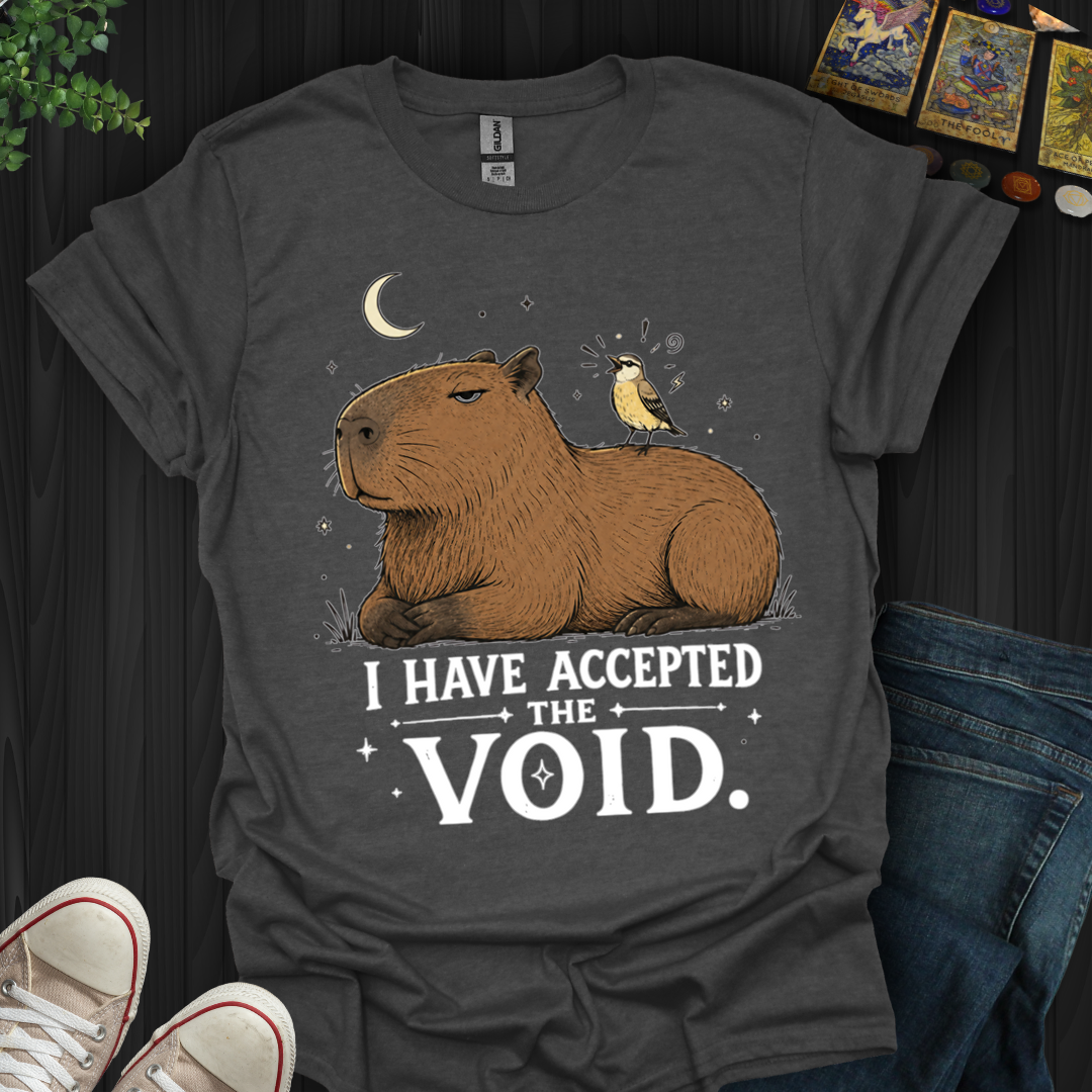 I Have Accepted The Void- T-Shirt