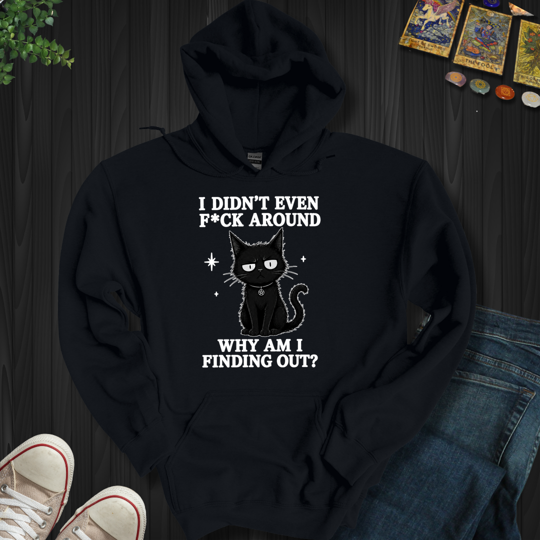 Why Am I Finding Out- Hooded Sweatshirt
