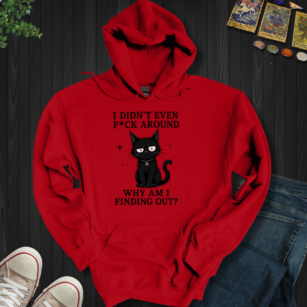 Why Am I Finding Out- Hooded Sweatshirt