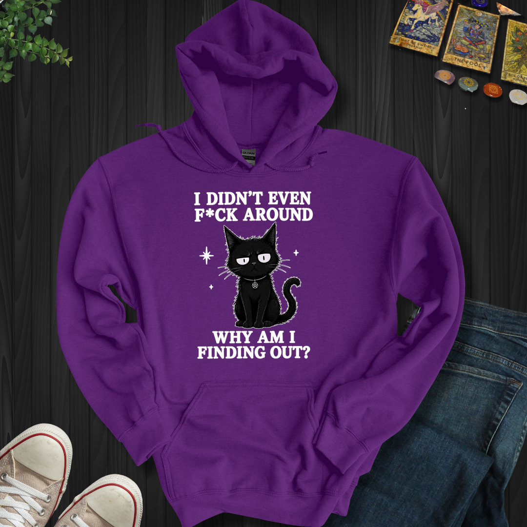 Why Am I Finding Out- Hooded Sweatshirt