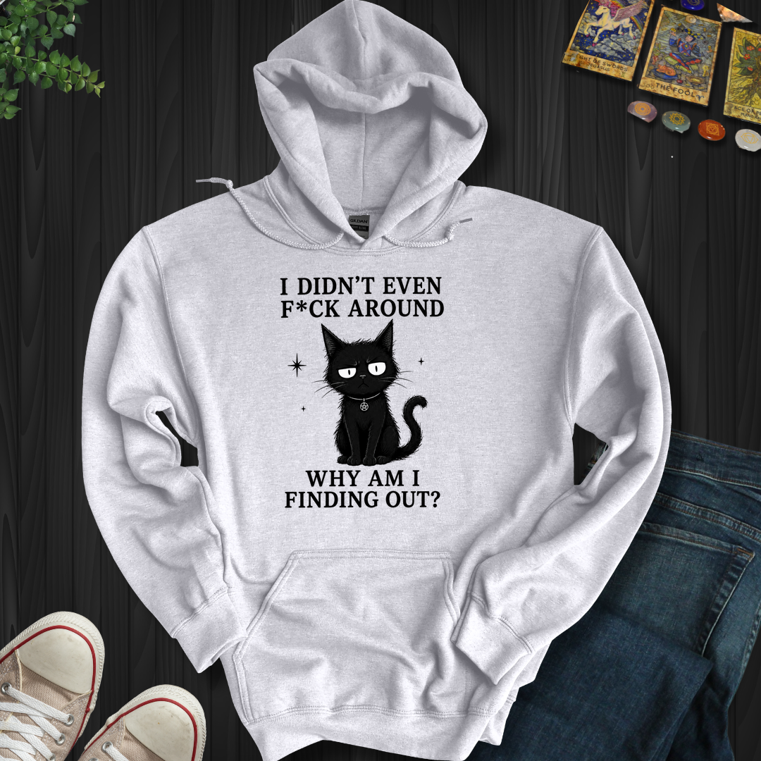 Why Am I Finding Out- Hooded Sweatshirt