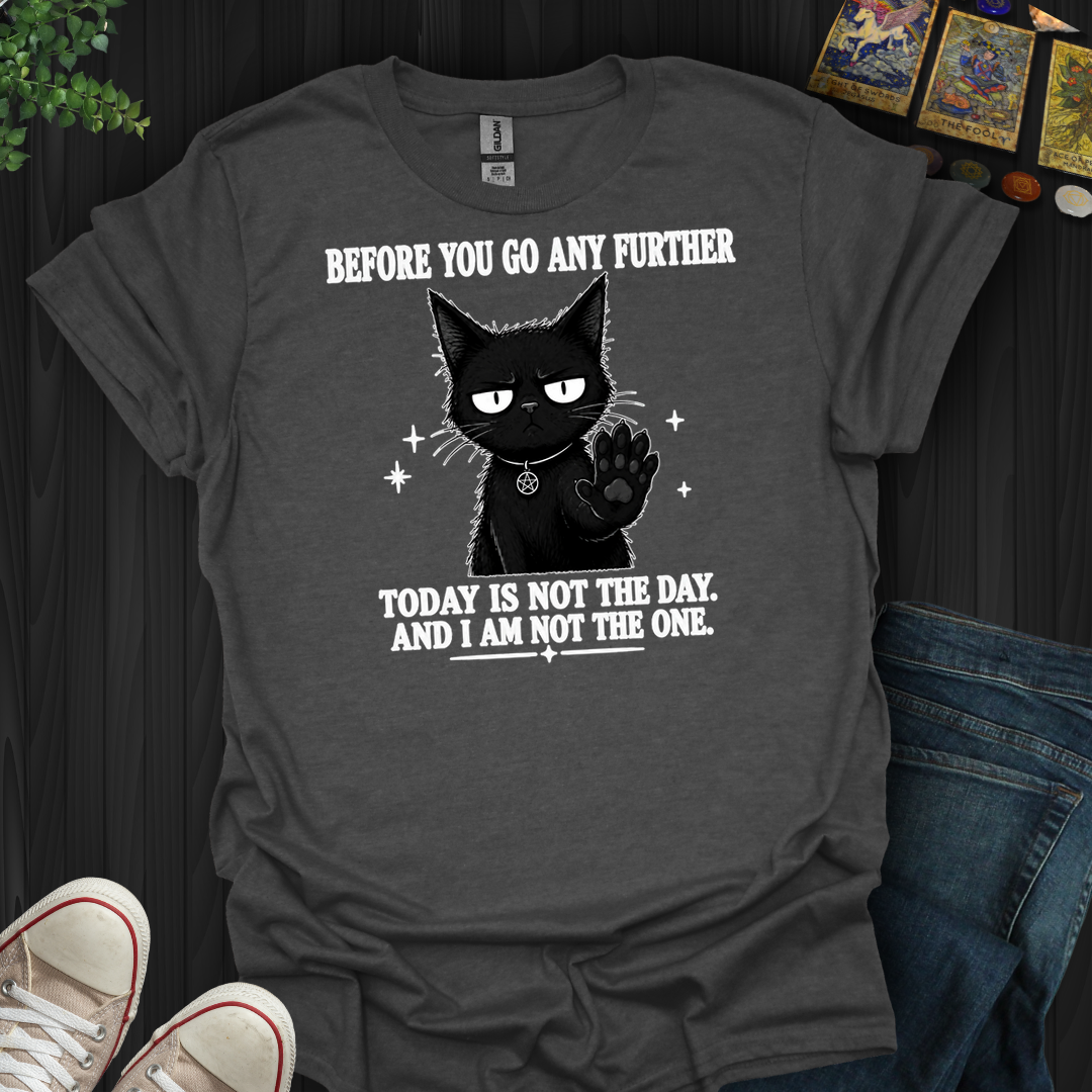 Today Is Not The Day- T-Shirt