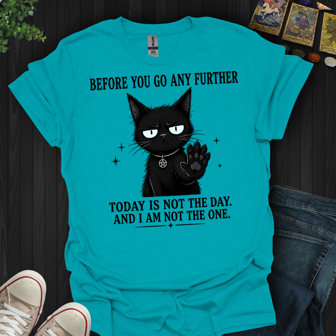 Today Is Not The Day- T-Shirt