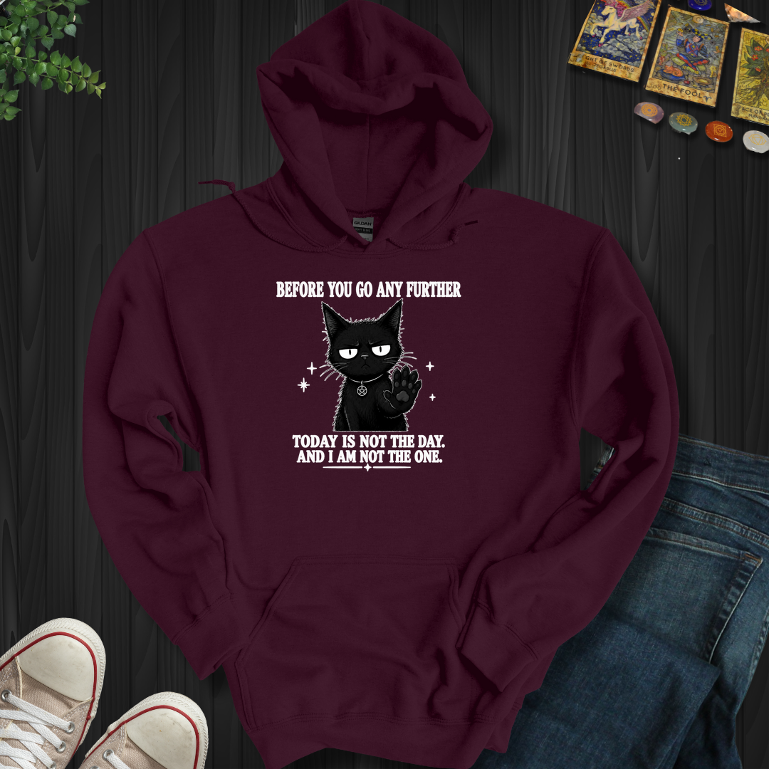 Today Is Not The Day- Hooded Sweatshirt
