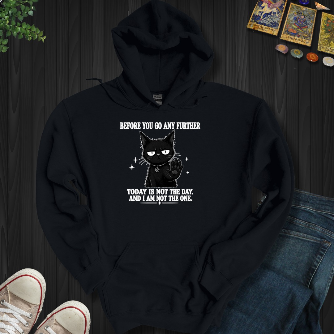 Today Is Not The Day- Hooded Sweatshirt