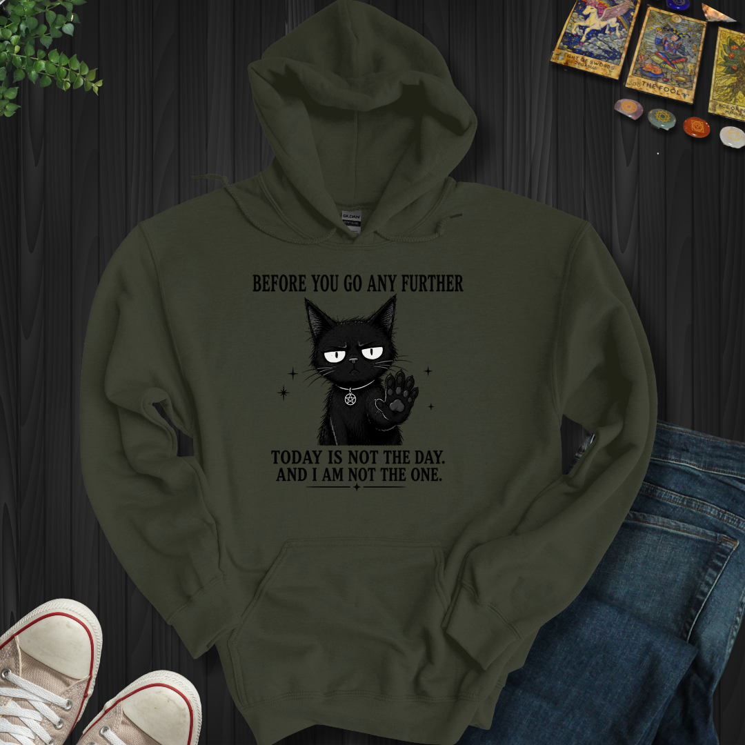 Today Is Not The Day- Hooded Sweatshirt