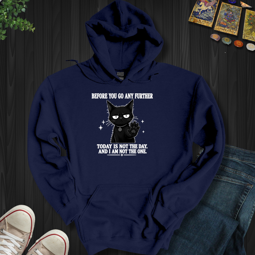 Today Is Not The Day- Hooded Sweatshirt