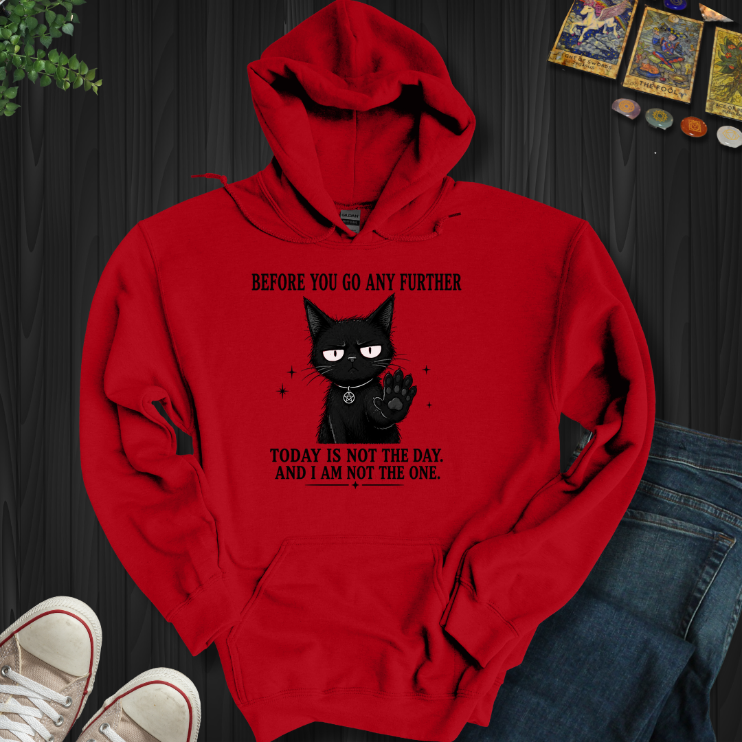 Today Is Not The Day- Hooded Sweatshirt