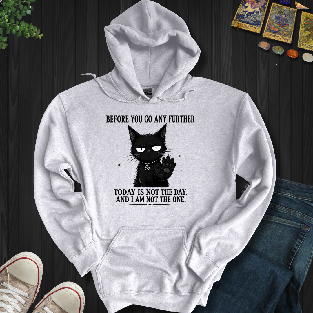 Today Is Not The Day- Hooded Sweatshirt