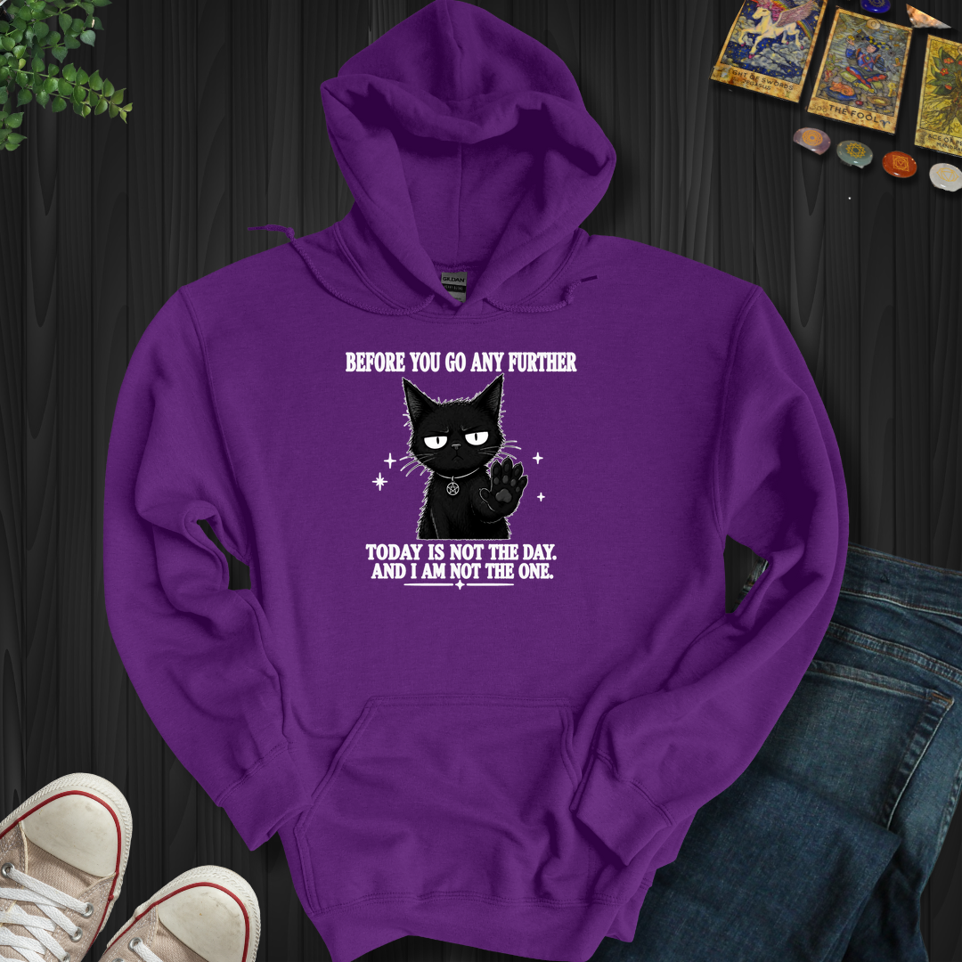 Today Is Not The Day- Hooded Sweatshirt