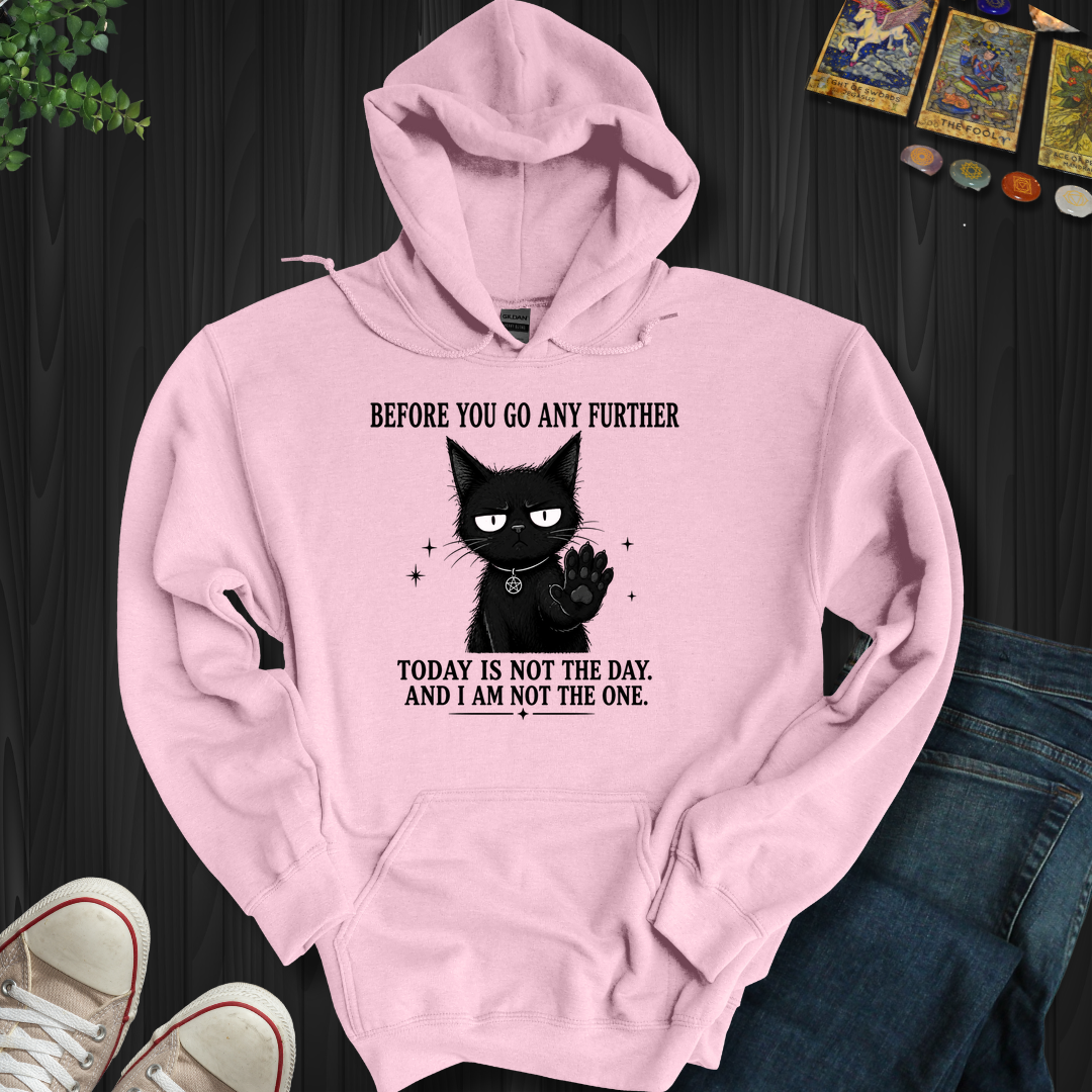 Today Is Not The Day- Hooded Sweatshirt