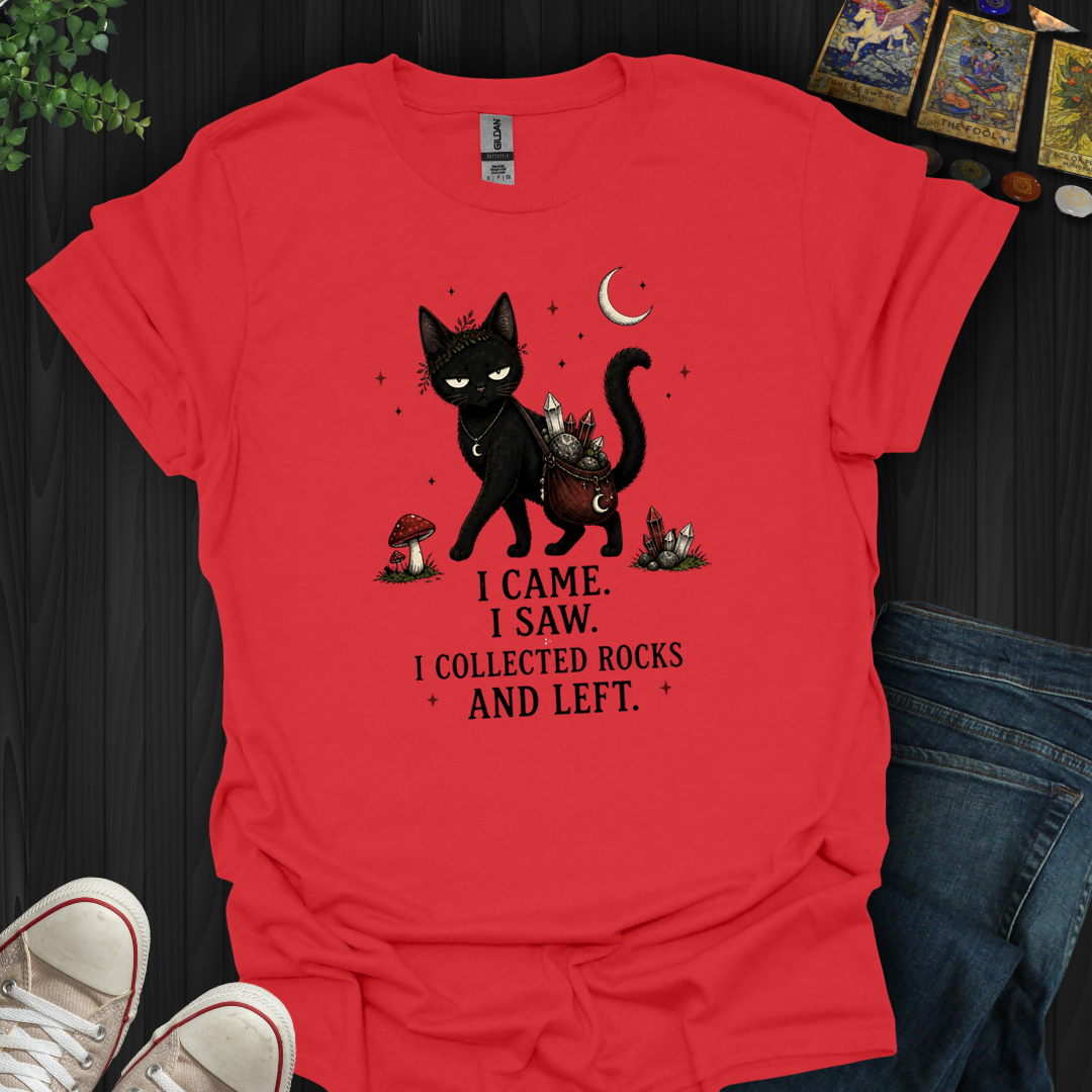 I Collected Rocks And Left- T-Shirt