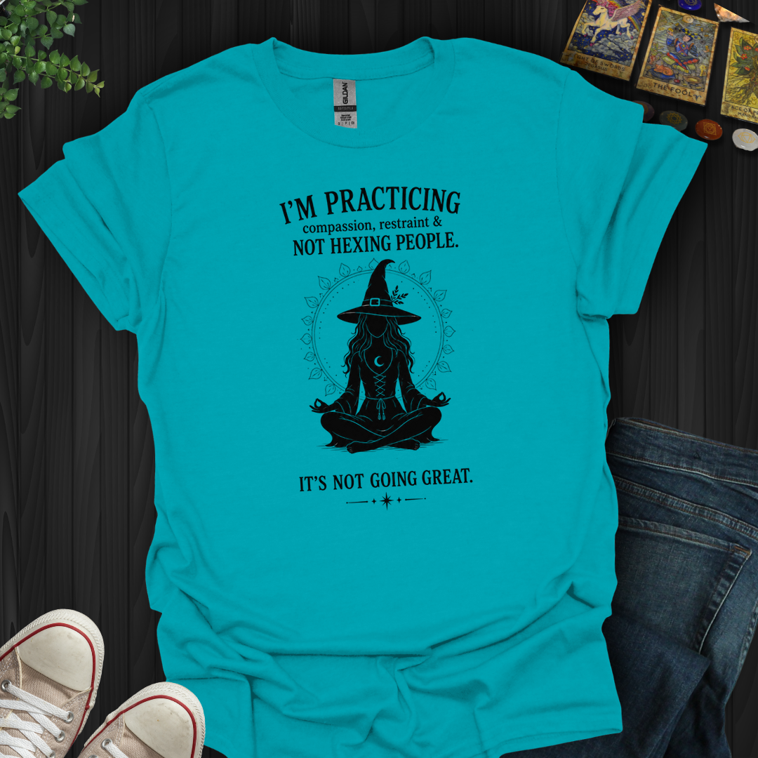 I'm Practicing- T-Shirt