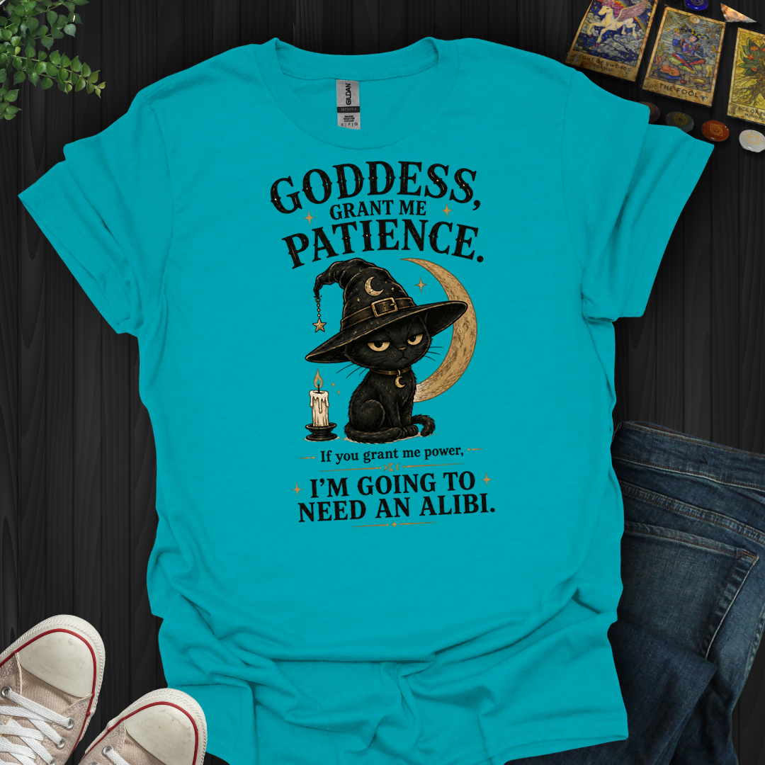 I'm Going To Need An Alibi- T-Shirt