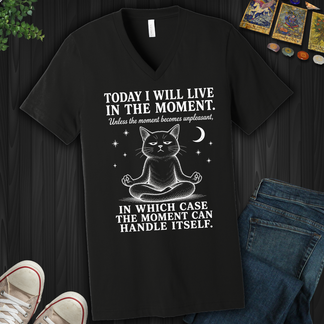 I Will Live In The Moment- V-Neck