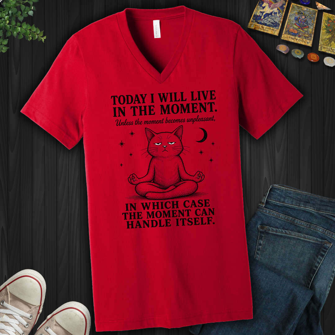 I Will Live In The Moment- V-Neck