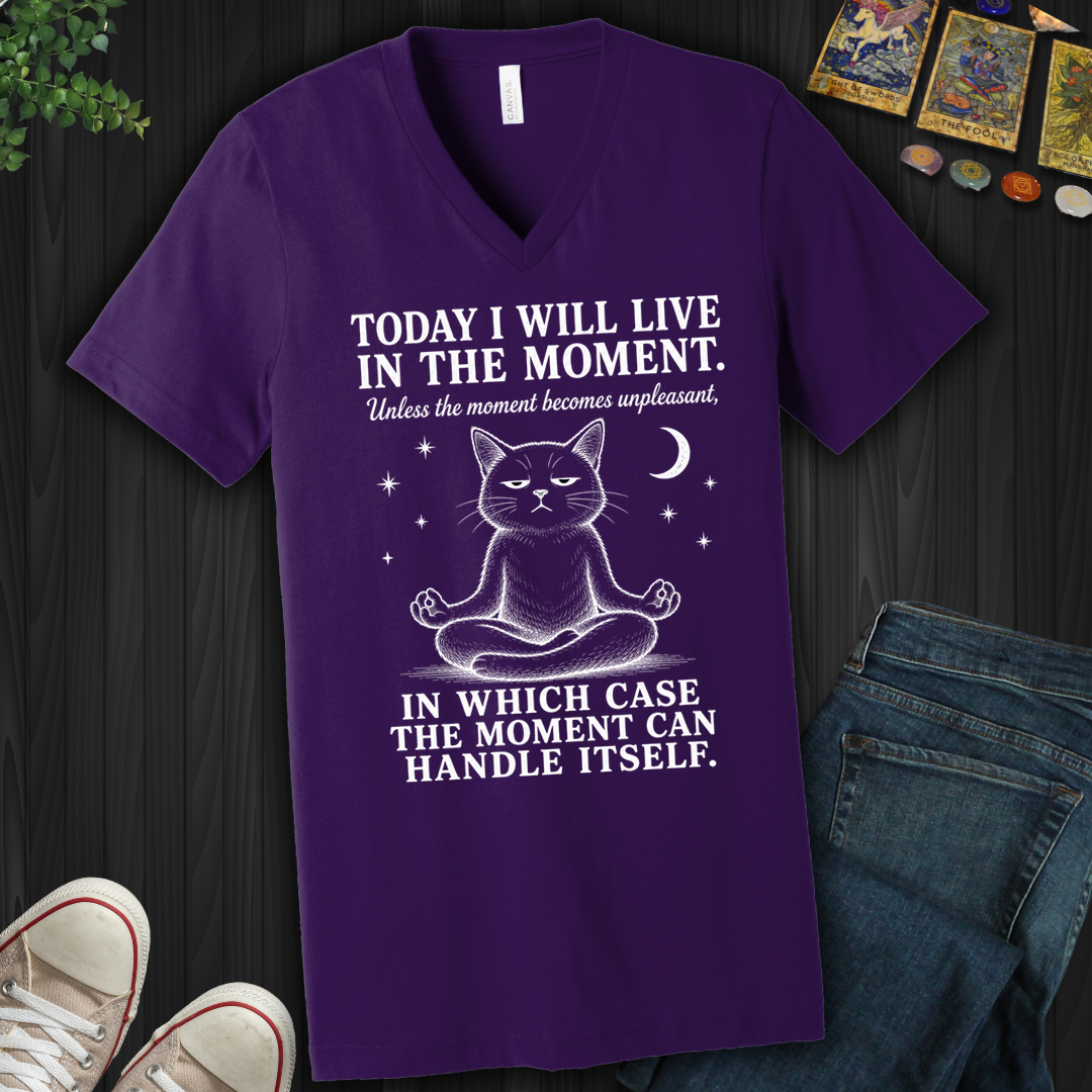 I Will Live In The Moment- V-Neck