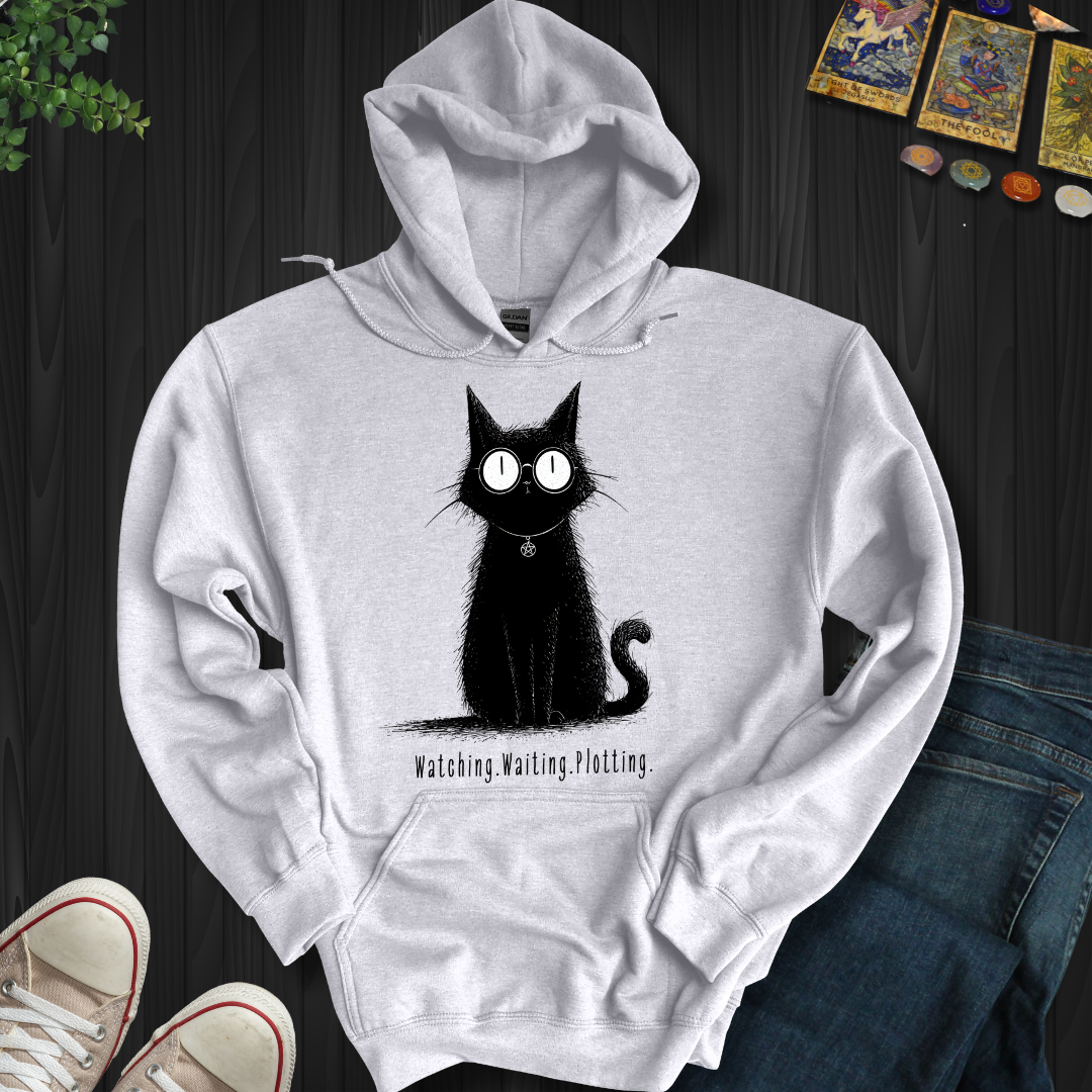 Watching. Waiting. Plotting Hooded Sweatshirt