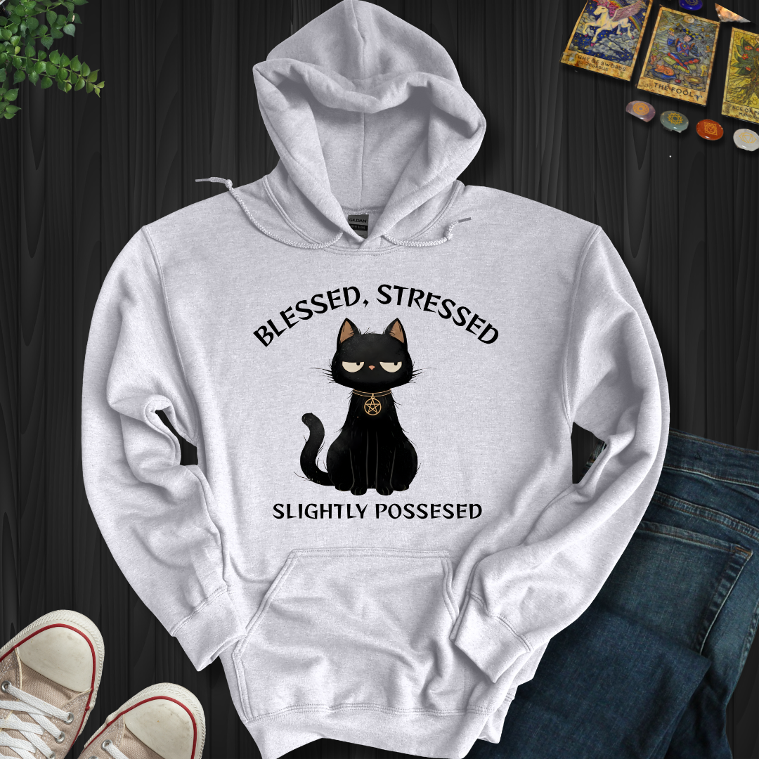 Blessed, Stressed, Slightly Possessed Hooded Sweatshirt