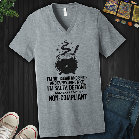 Non-Compliant V-Neck Tee