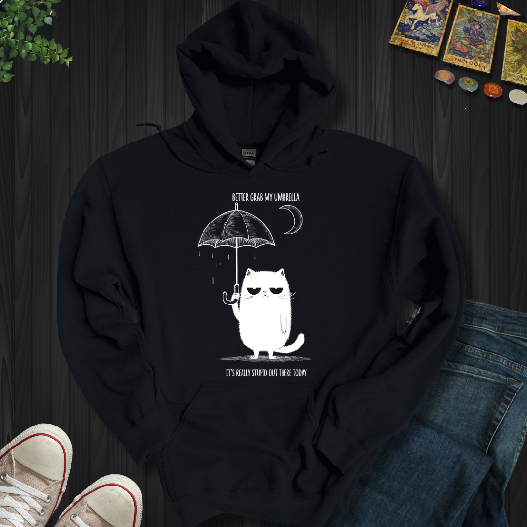 Better Grab My Umbrella Hooded Sweatshirt