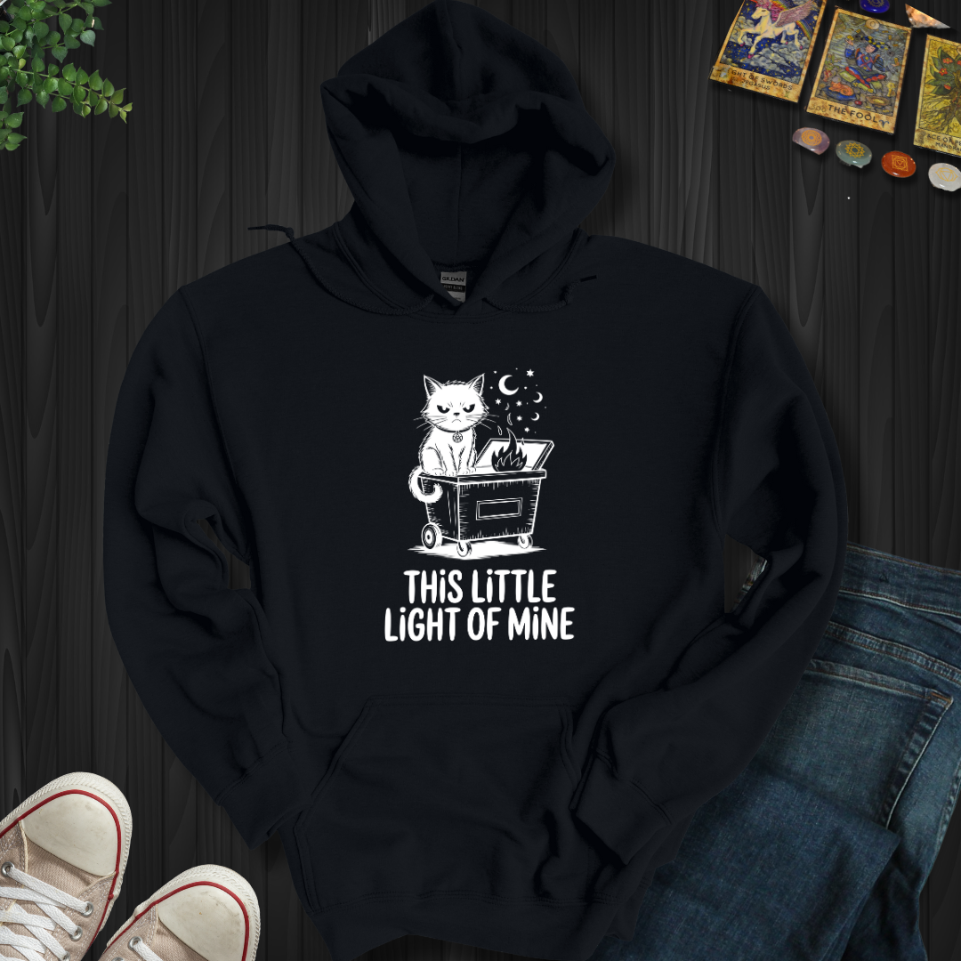 This Little Light Of Mine Hooded Sweatshirt