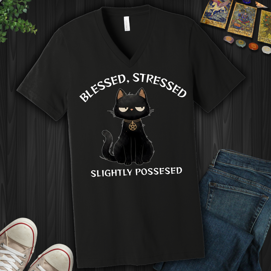 Blessed, Stressed, Slightly Possessed V-Neck Tee
