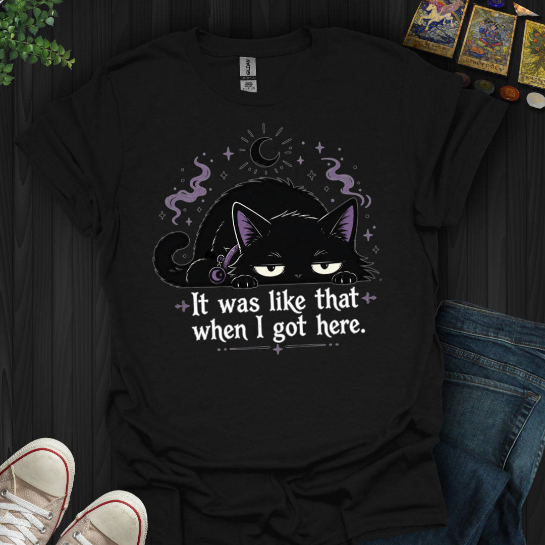 It Was Like That When I Got Here T-Shirt