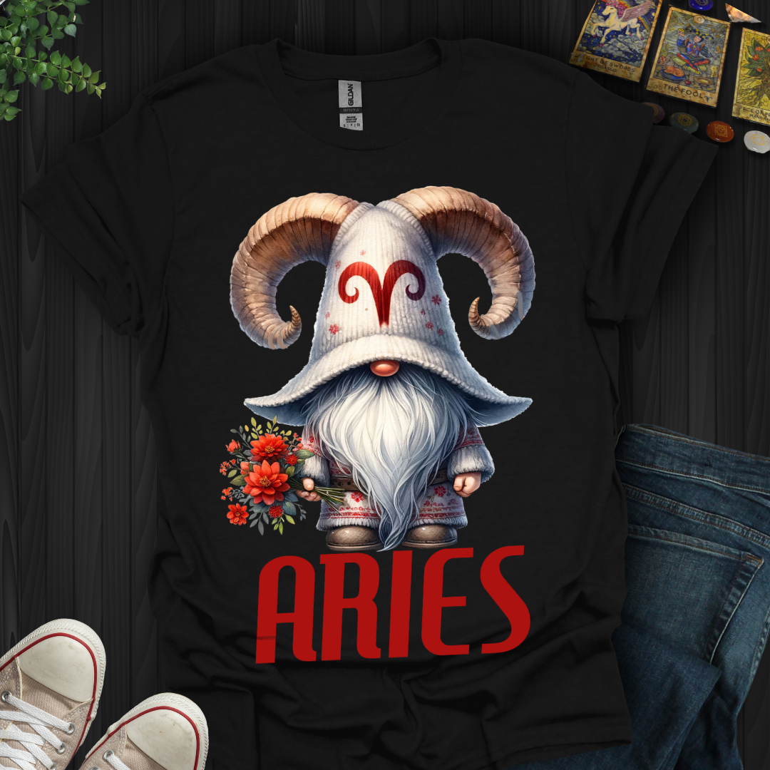 Aries Gnome 2 T-Shirt