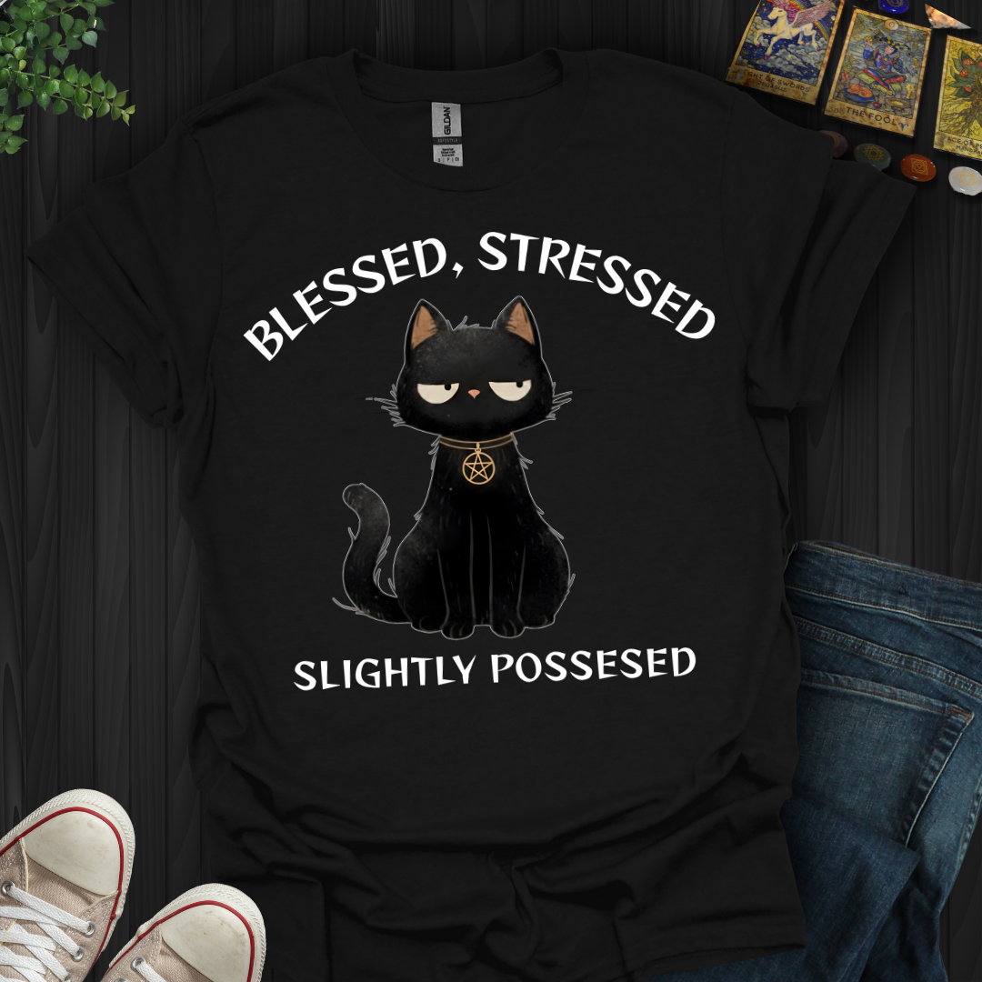 Blessed, Stressed, Slightly Possessed T-Shirt