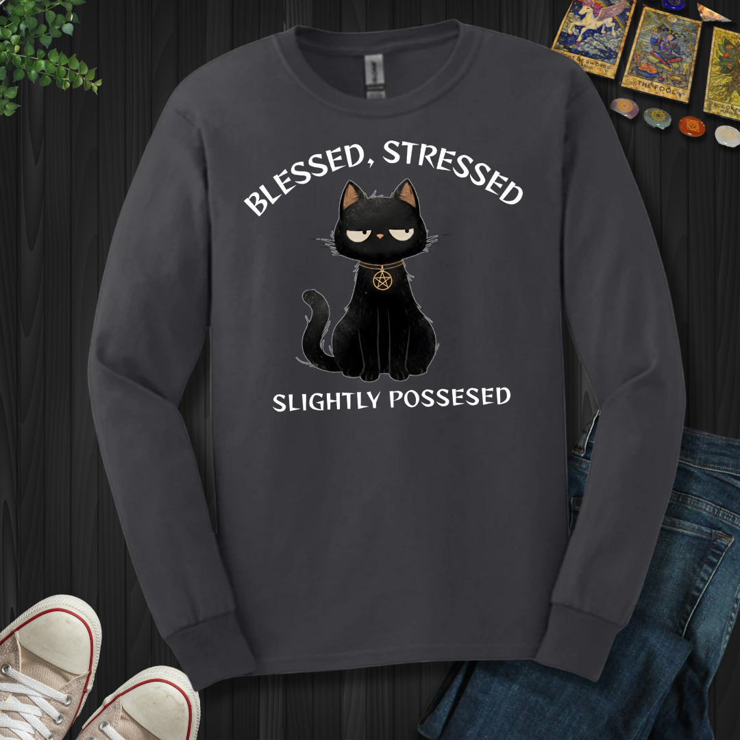 Blessed, Stressed, Slightly Possessed Long Sleeve Tee