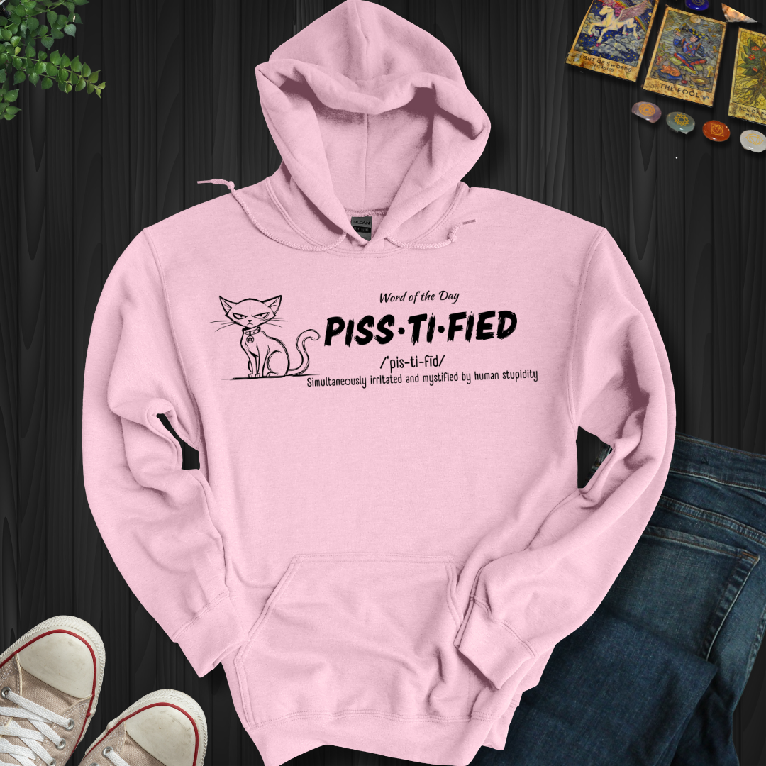Word Of The Day Hooded Sweatshirt