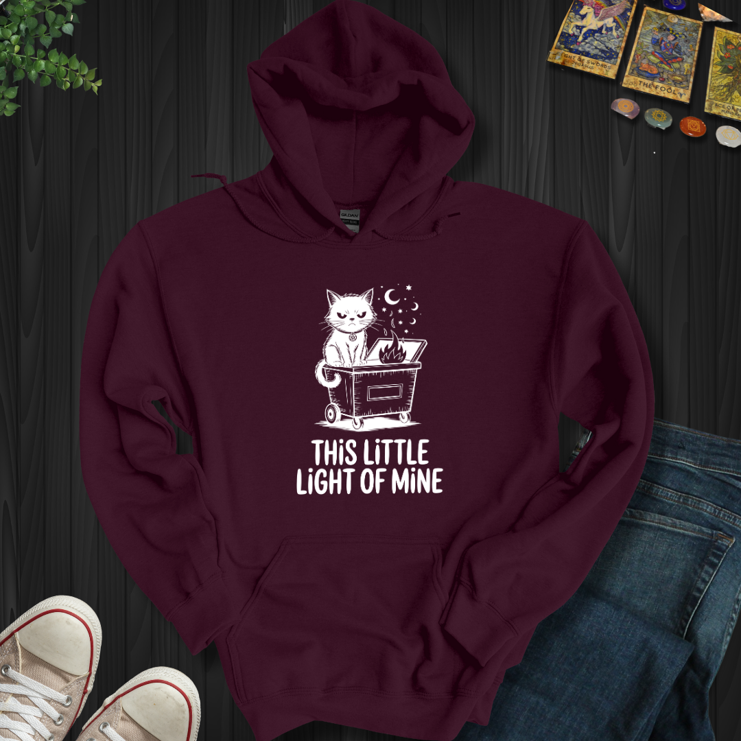 This Little Light Of Mine Hooded Sweatshirt