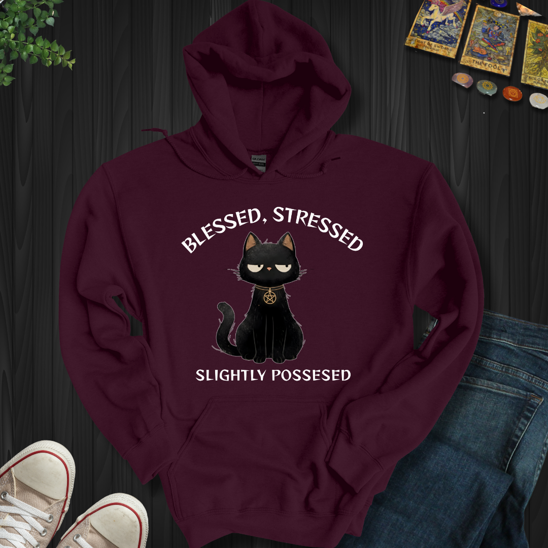 Blessed, Stressed, Slightly Possessed Hooded Sweatshirt