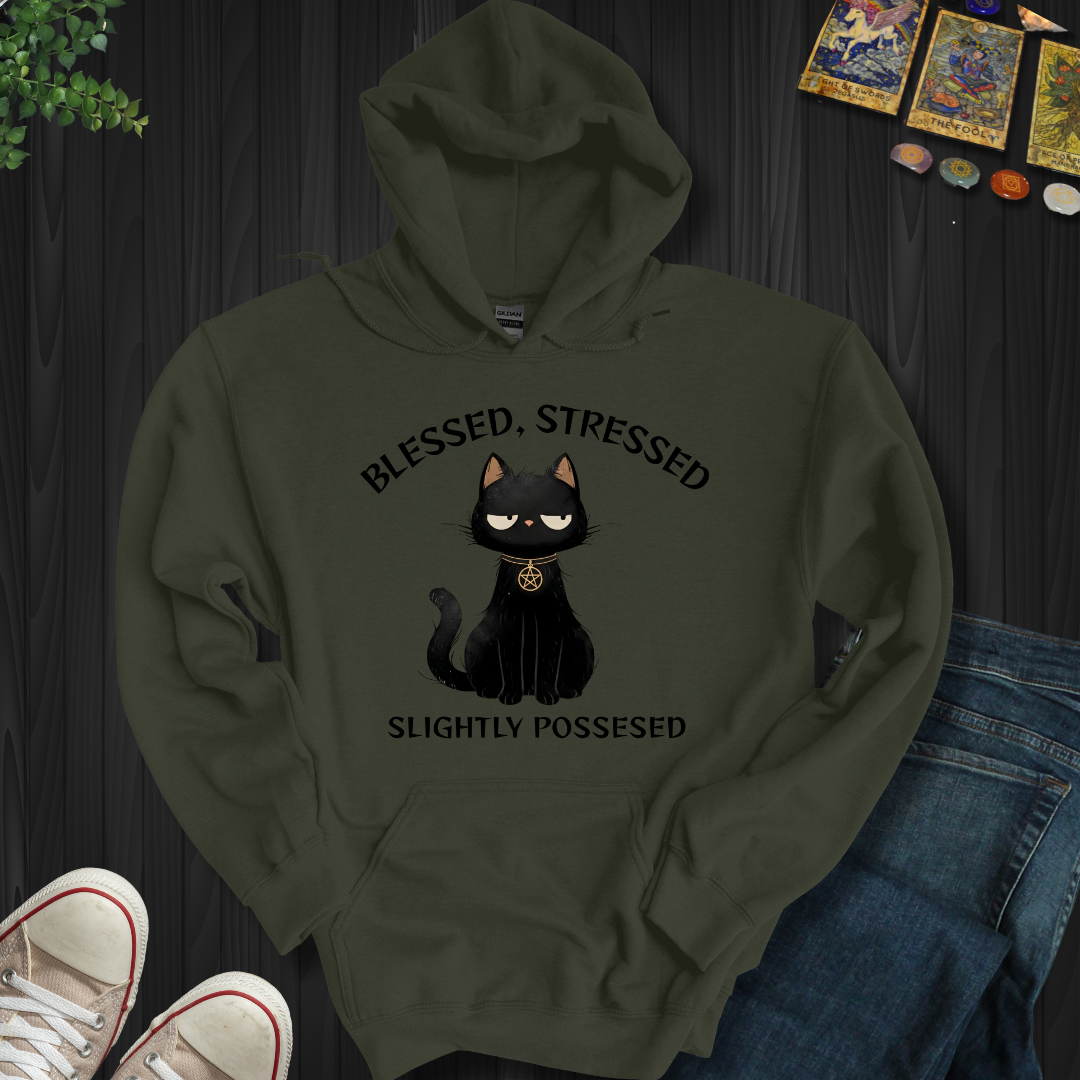 Blessed, Stressed, Slightly Possessed Hooded Sweatshirt