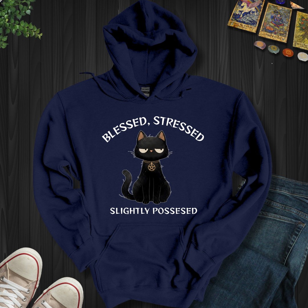 Blessed, Stressed, Slightly Possessed Hooded Sweatshirt