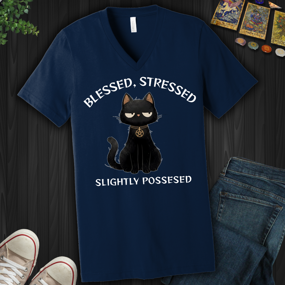 Blessed, Stressed, Slightly Possessed V-Neck Tee