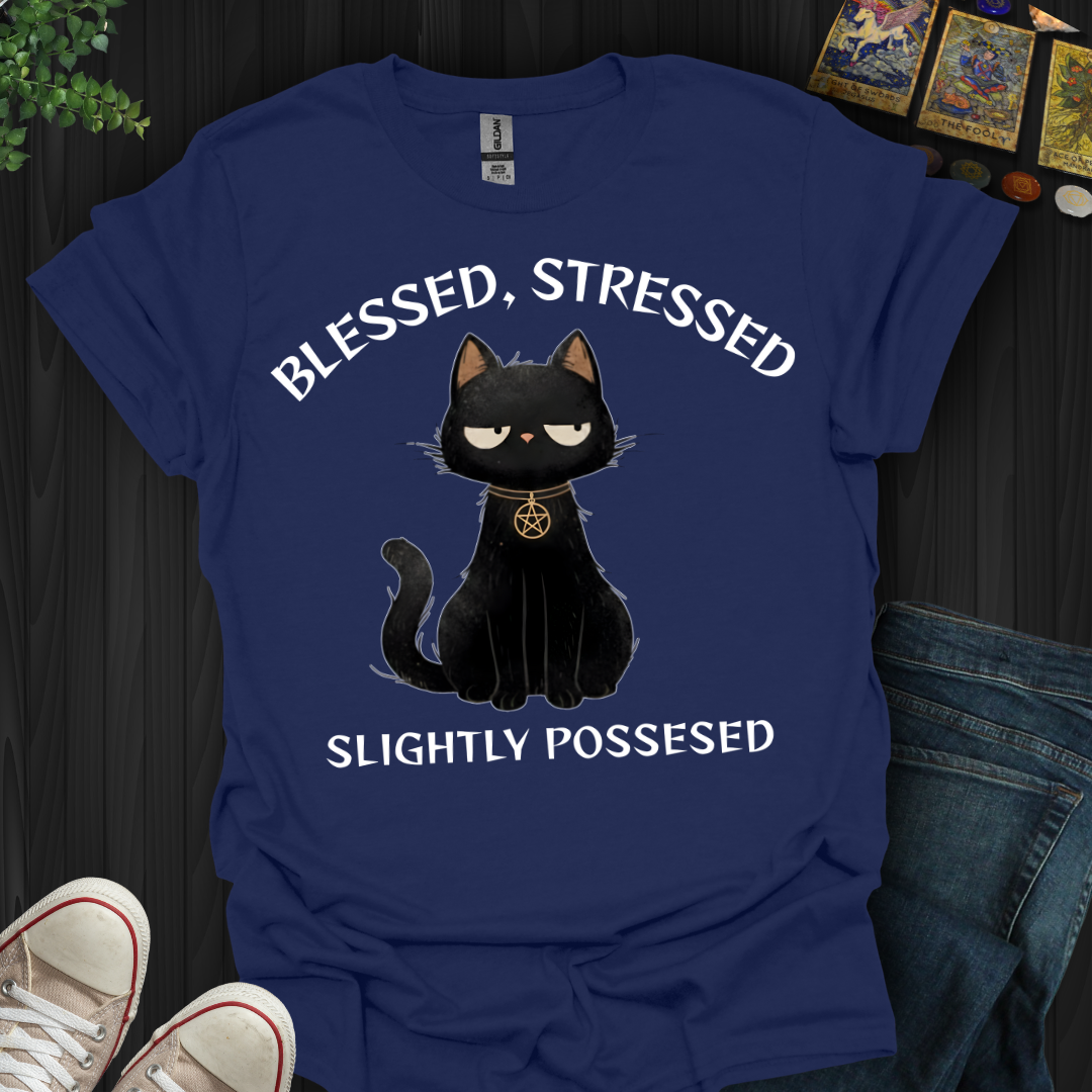 Blessed, Stressed, Slightly Possessed T-Shirt
