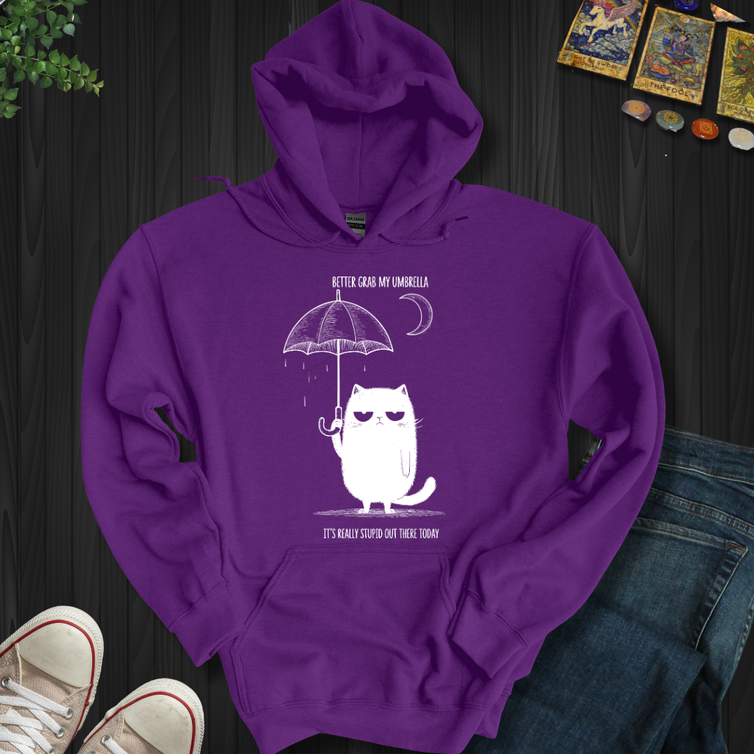 Better Grab My Umbrella Hooded Sweatshirt