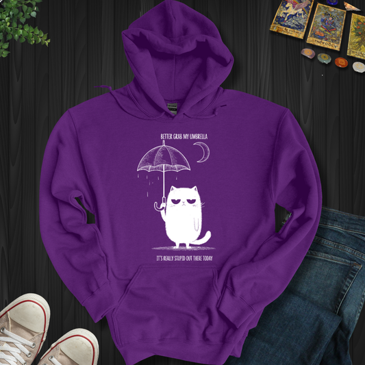 Better Grab My Umbrella Hooded Sweatshirt
