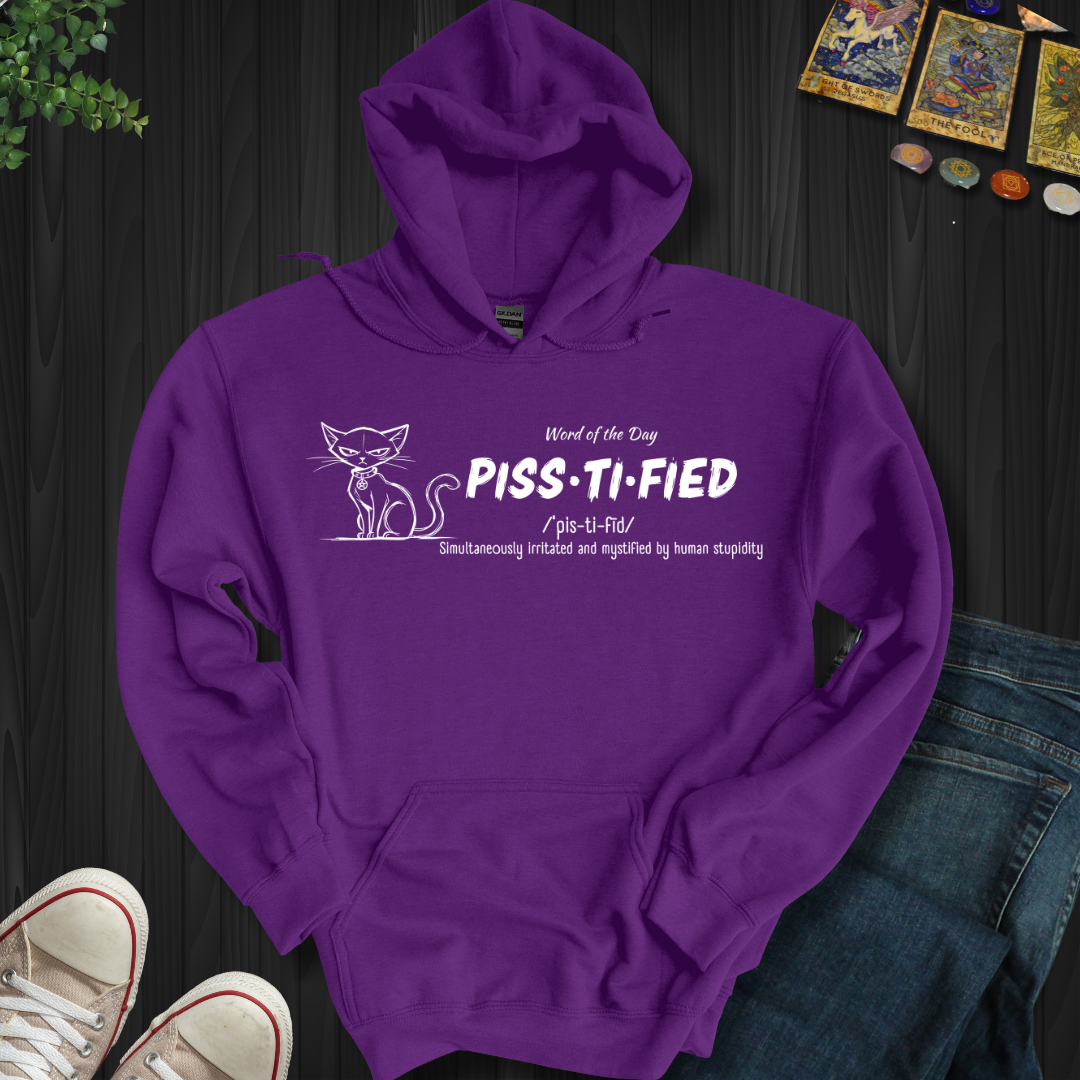 Word Of The Day Hooded Sweatshirt