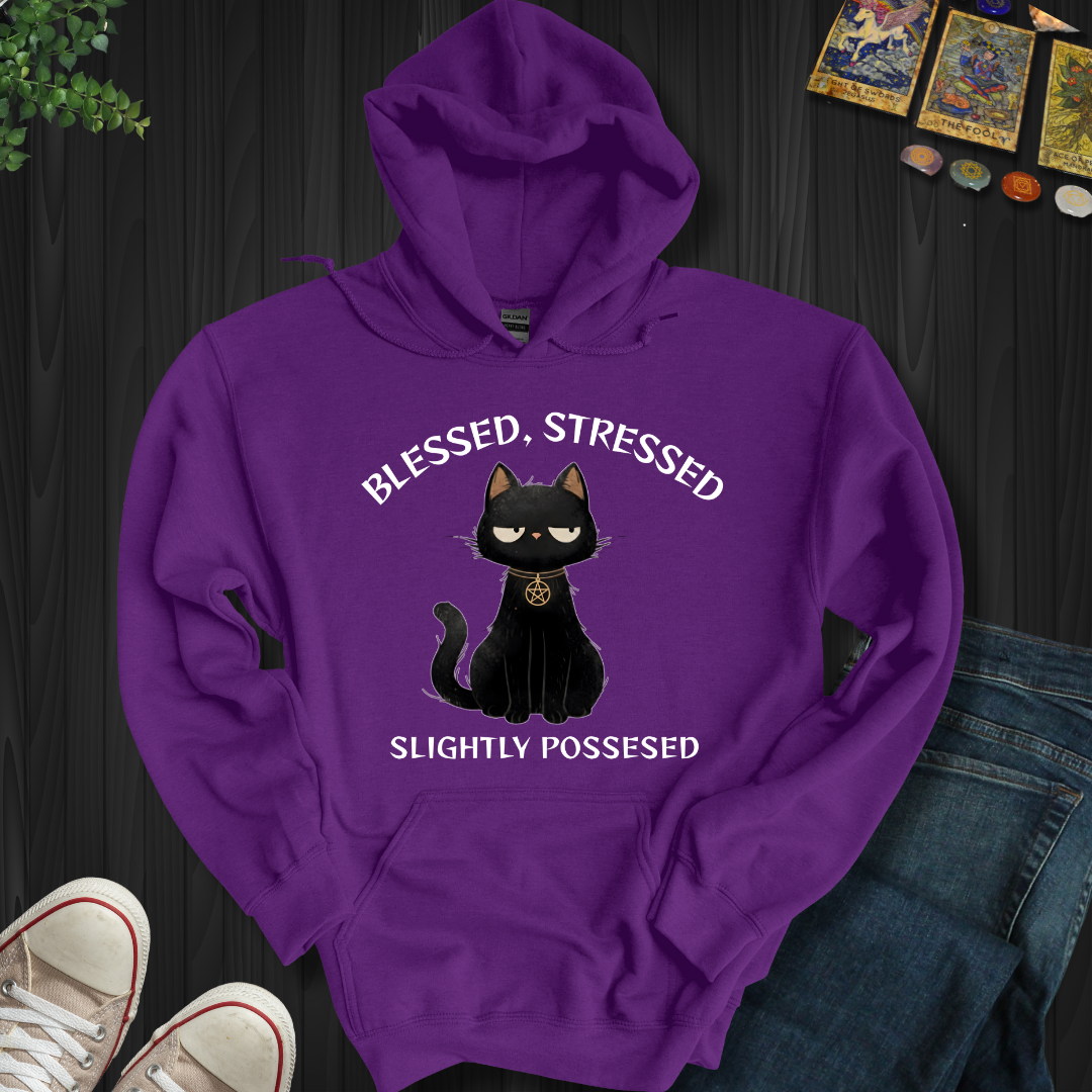 Blessed, Stressed, Slightly Possessed Hooded Sweatshirt
