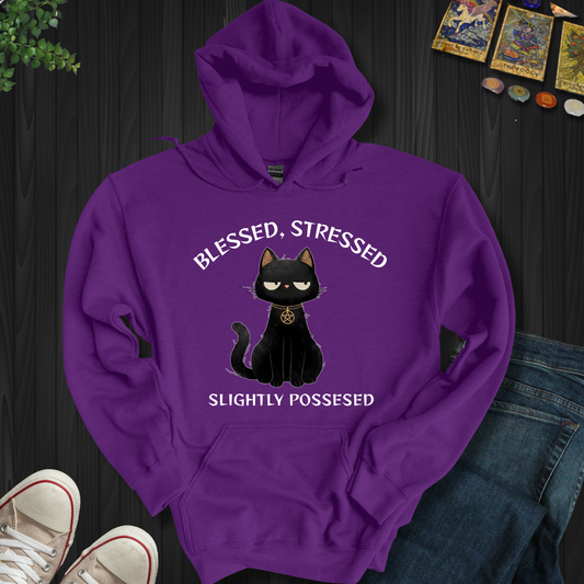 Blessed, Stressed, Slightly Possessed Hooded Sweatshirt