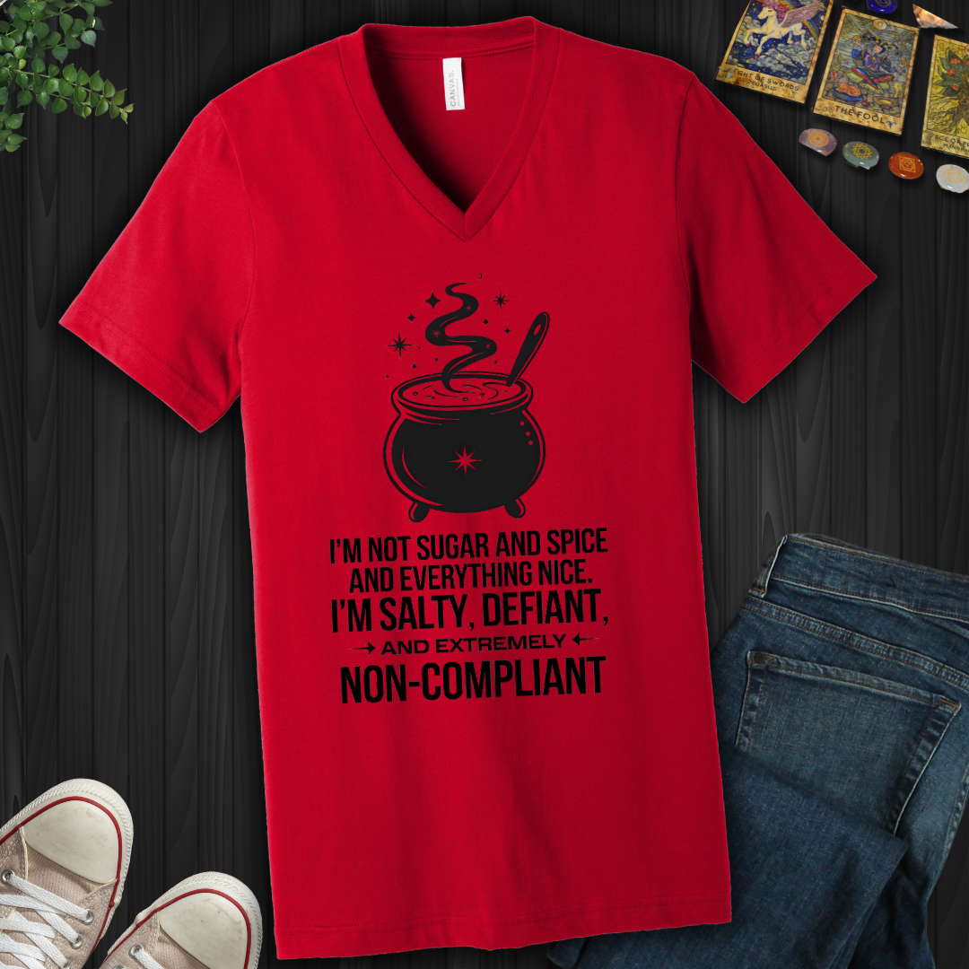 Non-Compliant V-Neck Tee