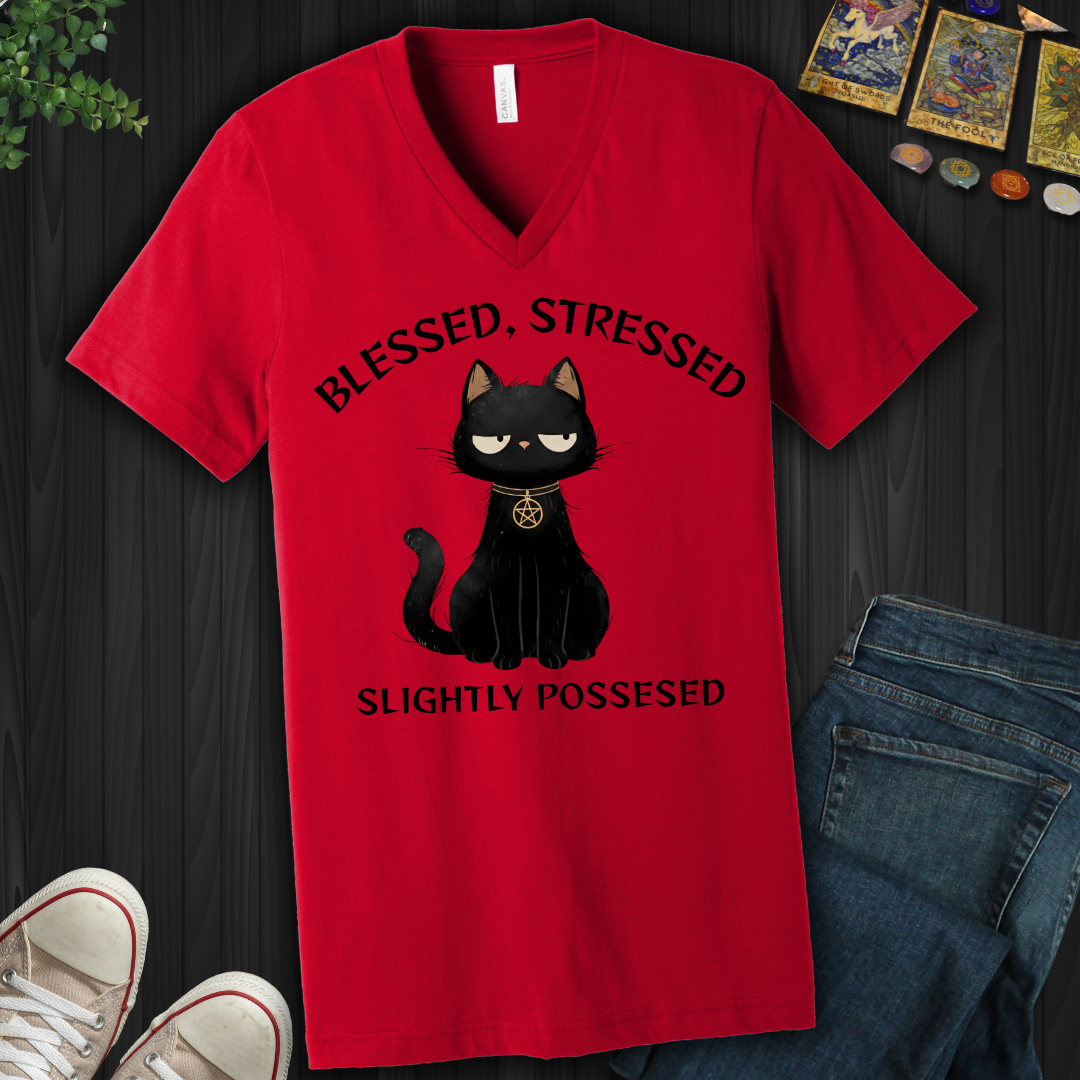 Blessed, Stressed, Slightly Possessed V-Neck Tee