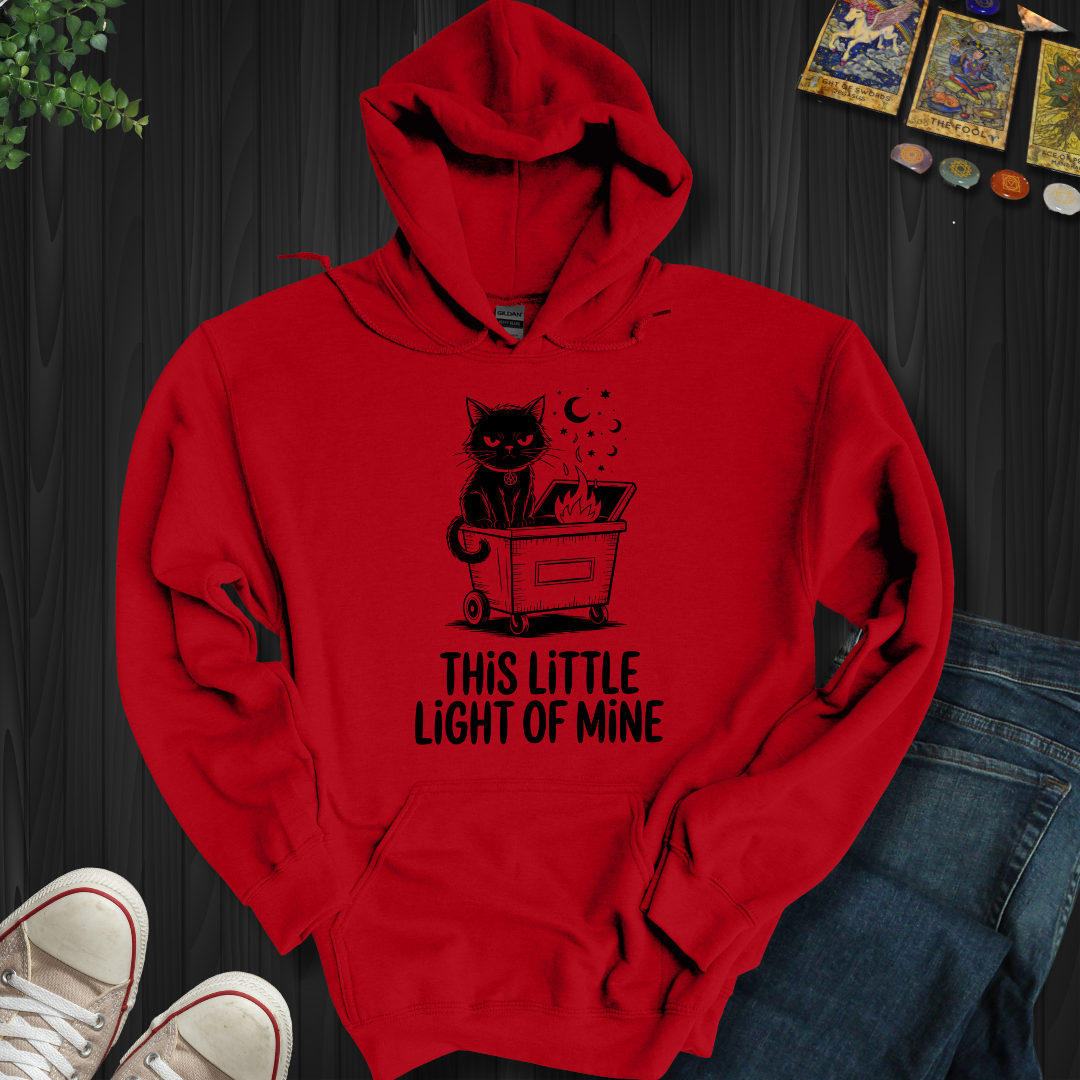 This Little Light Of Mine Hooded Sweatshirt