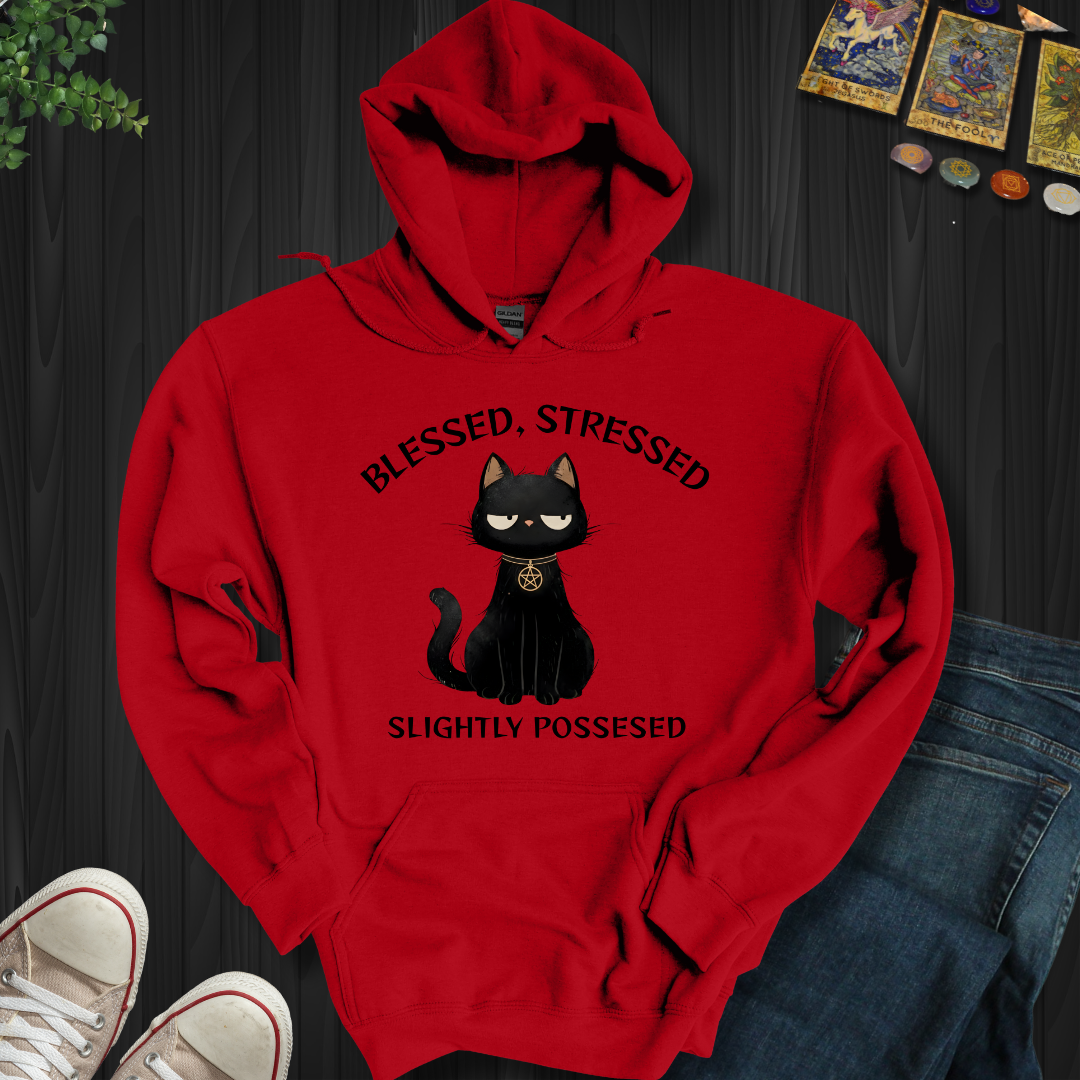 Blessed, Stressed, Slightly Possessed Hooded Sweatshirt